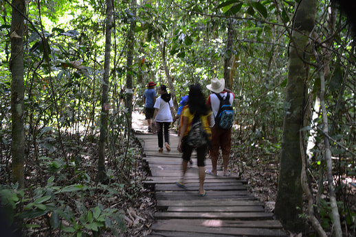 Monkey trail, Puerto Princesa Underground River, Puerto Princesa Subterranean River, Puerto Princesa, Palawan
