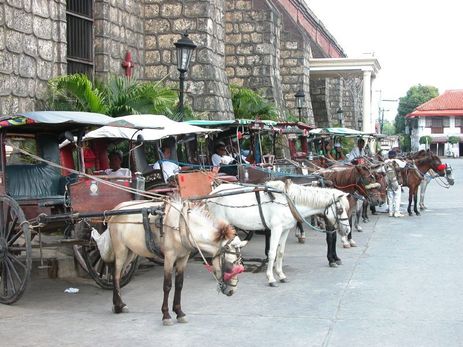 Vigan City, calesa, horse-drawn carriage, historic city, world heritage site